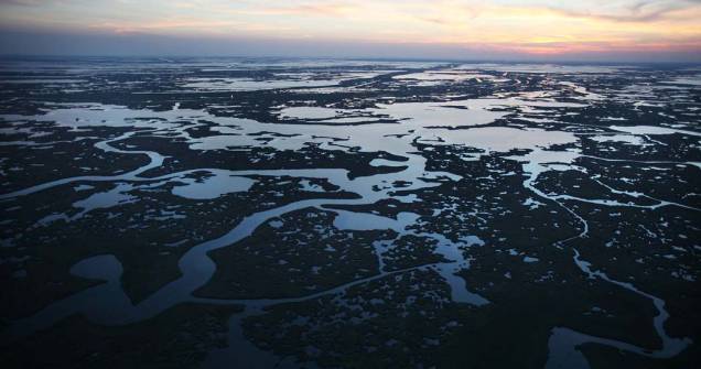 <p>Vista aérea da baía de Barataria no estado da Lousiana, uma das áreas mais atingidas pelo vazamento de óleo no Golfo do México, em 2010, nos Estados Unidos</p>