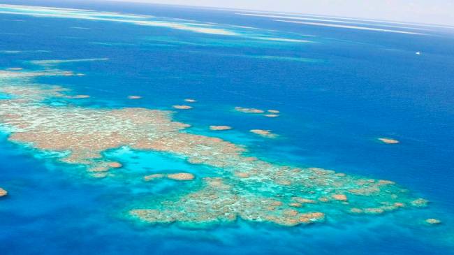 A grande barreira de corais na Austrália, que está ameaçada pelo aumento da acidez dos oceanos