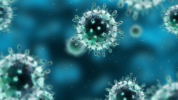 Influenza A: a epidemia do vírus entre 2009 e 2010 deixou mais de 18.000 mortos no mundo