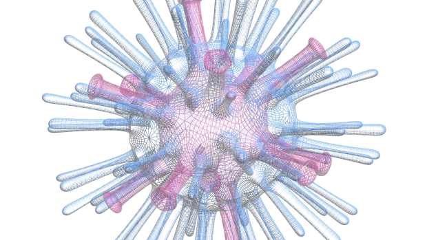 Modelo digital mostra o vírus H5N1, causador da gripe aviária
