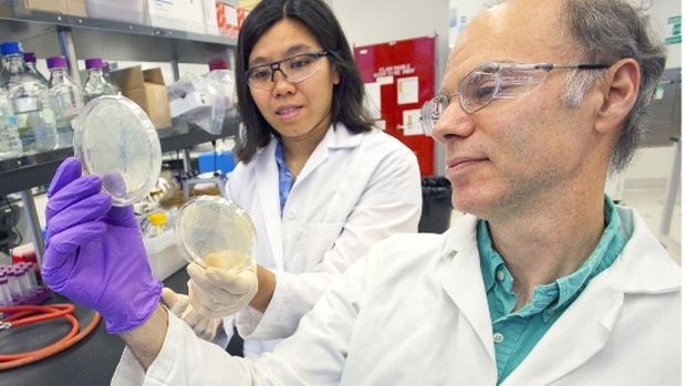 O cientista Harry Beller e sua equipe, do Joint BioEnergy Institute, um instituto de pesquisas do Departamento de Energia dos EUA, descobriram que a metilcetona produzida por uma bactéria pode ser forte candidata a biocombustível