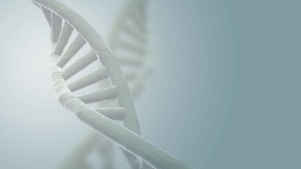 DNA: pesquisa alterou DNA viral para que animais passassem a expressar enzima que retarda envelhecimento