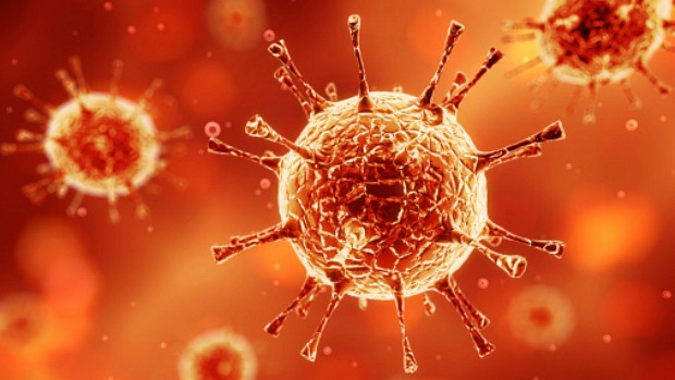 Vírus HIV: Estudo aponta para redução das mortes pela doença no mundo