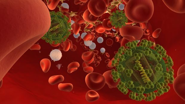 Imagem do vírus HIV na corrente sanguínea: tratamento com "superanticorpos" pode ajudar cientistas e encontrar uma cura para a doença