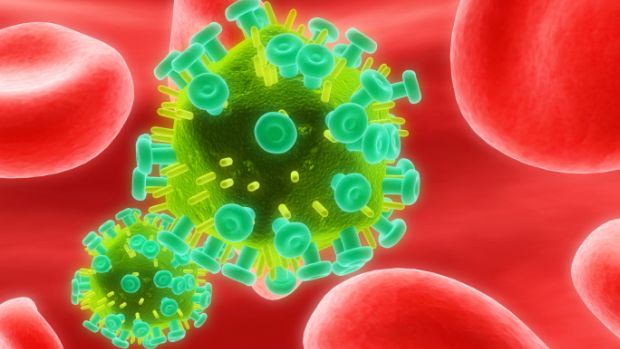 Vírus HIV: após modificação, macacos contraíram aids pela primeira vez
