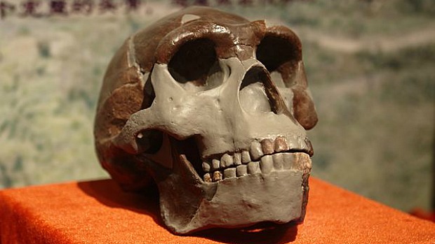 Uma réplica do crânio do Homem de Pequim é exibida no Museu Paleozoológico da China, em Pequim