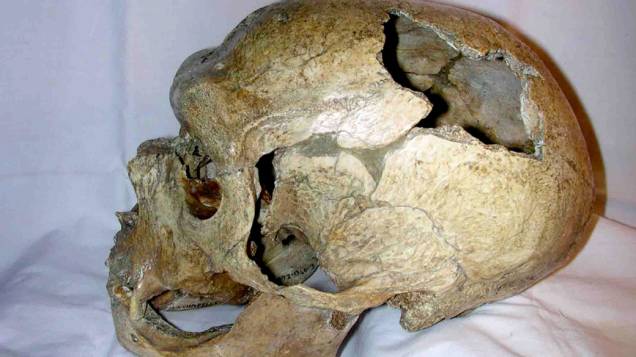 <p>Crânio de homem de Neandertal descoberto em 1908, em Chapelle aux saints, na França</p>