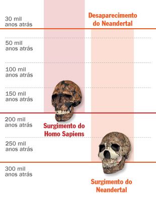 Homo sapiens e Neandertais