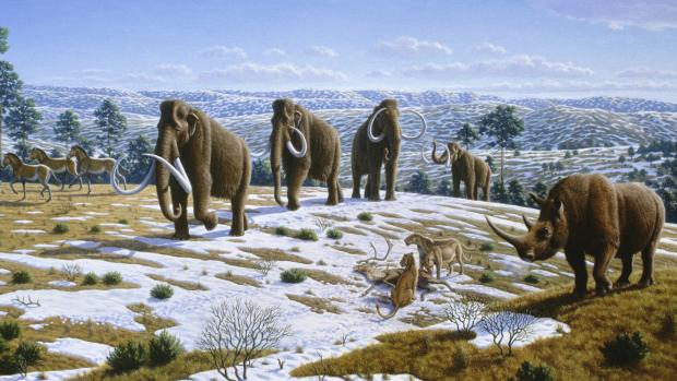 A evolução de grandes animais já extintos que habitaram a Terra durante a Idade do Gelo, como o mamute e o rinoceronte lanudo, pode ter ocorrido de forma diferente do imaginado. Um fóssil de 3,6 milhões de anos mostra que animais podem ter se adaptado ao frio antes da queda global de temperatura ocorrida no Pleistoceno
