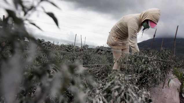 <p>Agricultor tenta recuperar campo coberto de cinzas após a erupção do vulcão Sinabung, na Indonésia, nesta sexta-feira (08)</p>