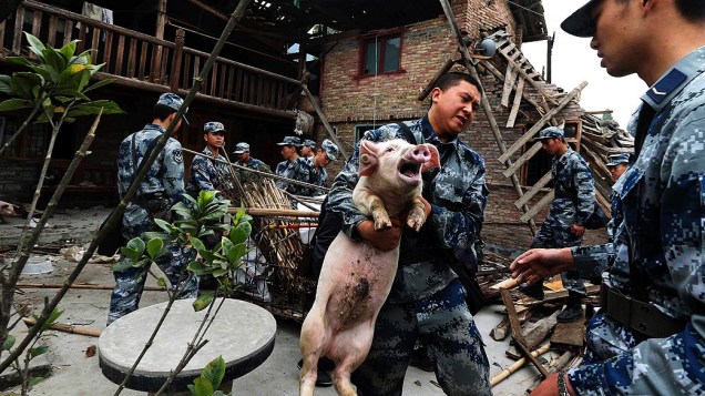 Equipes de resgate carregam um porco para fora de uma casa destruída pelo terremoto que atingiu o condado de Lushan, na província de Sichuan, China