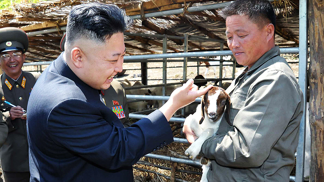 O líder norte-coreano Kim Jong-un acaricia filhote de cabra durante visita à estação de criação Nº 621 do Exército do país
