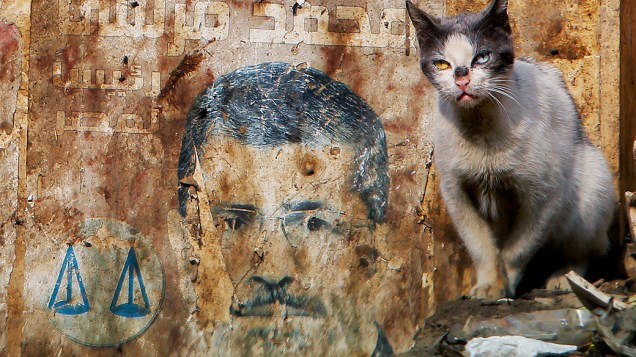 Um gato é fotografado perto de um cartaz da campanha presidencial do presidente deposto Mohammed Morsi no Cairo, Egito, nesta quarta-feira (8). O julgamento ex-presidente do Egito Mohamed Morsi foi adiado pela segunda vez consecutiva e será realizado no próximo dia 1º de fevereiro