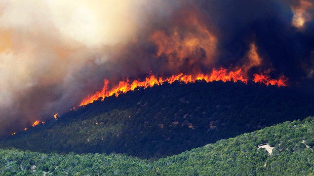 Fogo se espalha rápido por área florestal de Fairview, Utah (EUA)