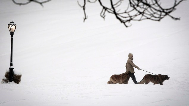 <p>Homem caminha com cães pelo Central Park coberto de neve, em Nova York </p>