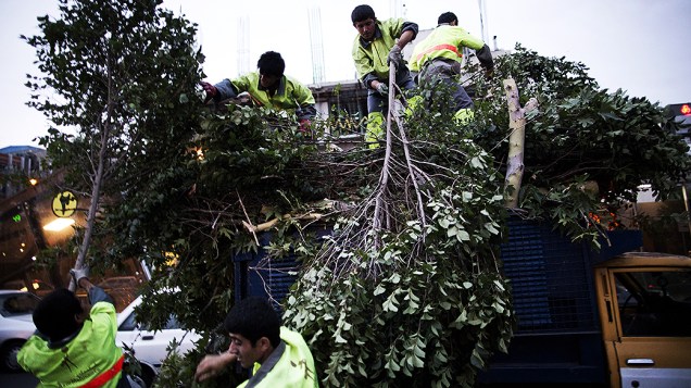 Funcionários de Teerã recolhem as árvores que caíram durante a tempestade de areia que atingiu a capital do Irã
