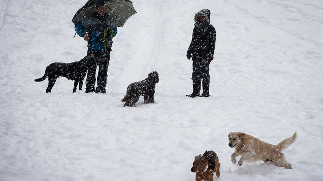 <p>Visitantes brincam com seus cães no Central Park, durante uma nevasca em Nova York</p>