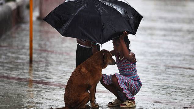 Menina usa seu guarda-chuva para proteger um cão durante o período de monções em Mumbai, Índia