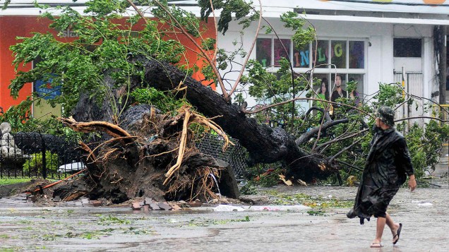 Homem passa por uma árvore arrancada pelos fortes ventos trazidos pela tufão Haiyan, na cidade Cebu, região central das Filipinas
