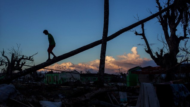 Menino caminha sobre o tronco de uma palmeira caída em Tanauan, Leyte, nas Filipinas. O supertufão Haiyan, que atravessou as Filipinas, deixou milhares de mortos e desabrigados