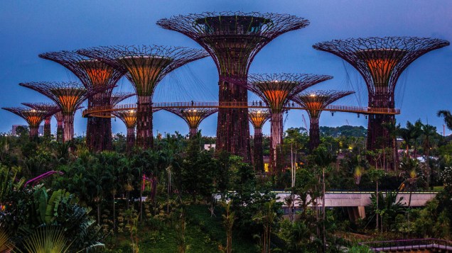 As super árvores têm entre 25 e 50 metros de altura e ficam no distrito financeiro de Singapura