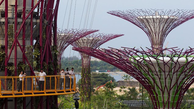 Visitantes passeiam pelo "sky walk" (caminhada pelo céu) entre as super árvores no "Gardens by the Bay" em Singapura
