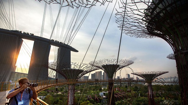 Homem fotografa super árvores, que ocupam uma área de 54 hectares na seção sul do "Gardens by the Bay" em Singapura