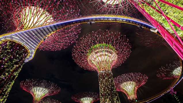 Super árvores iluminadas a noite durante show de luzes e som no "Gardens by the Bay" em Singapura