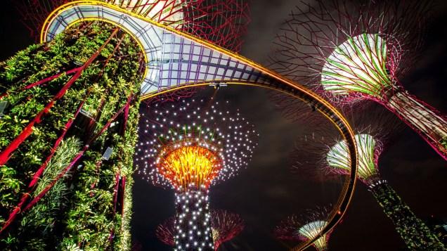 Super árvores iluminadas durante show de luzes e som do "Gardens by the Bay" em Singapura