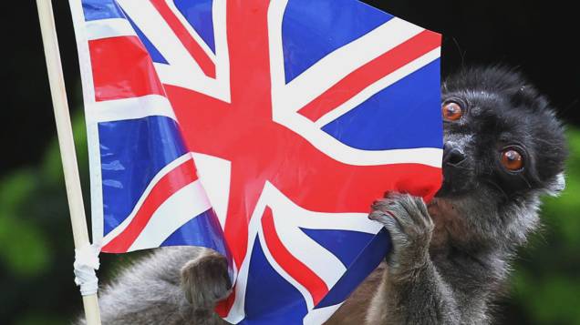 Lêmure brinca com bandeira colocada por funcionários do Blair Drummond Safari Park, perto de Stirling, na Escócia que se prepara para celebrar o jubileu de diamante da rainha Elizabeth II