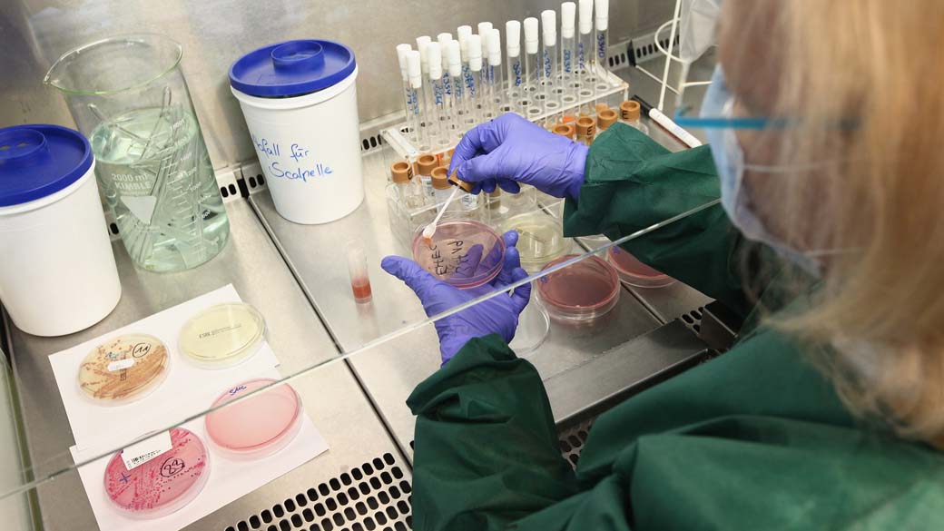 Autoridades de saúde da Alemanha procuram pistas do surto de E. coli enterohemorrágica (EHEC) a partir de cultura de bactérias de um paciente infectado