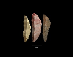 pre-historia microliticos neandertais homo sapiens