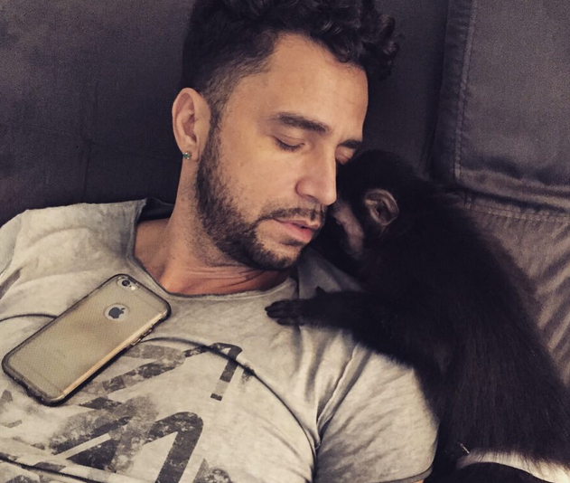Latino e seu macaco, Twelves