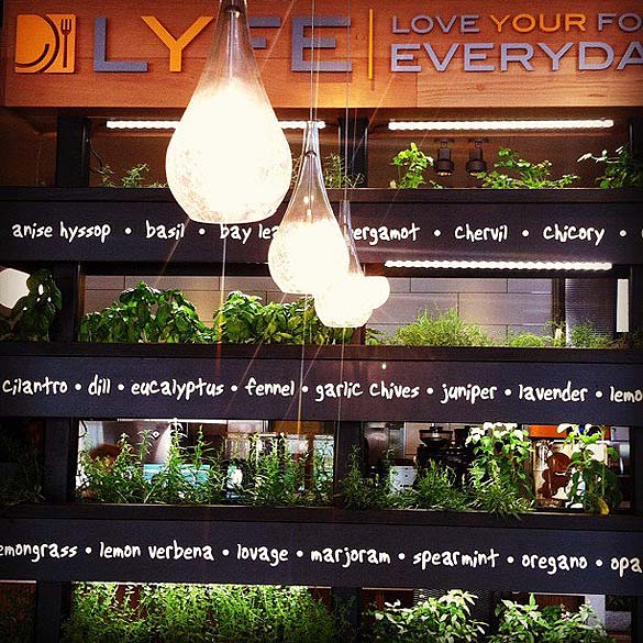 Pequena horta localizada dentro do restaurante LYFE Kitchen, em Palo Alto