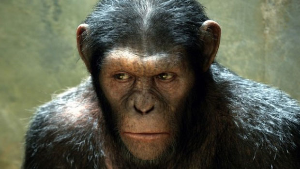 Cena do filme Planeta dos Macacos: A Origem