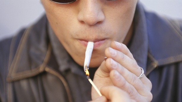 Maconha: embora seja droga mais usada no mundo, têm menos dependentes do que anfetaminas e opiáceos