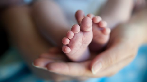 Mãe e filho: Bisfenol A na gravidez pode prejudicar sistema endócrino de ambos