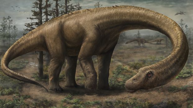 Paleontologia: Nova espécie de dinossauro é descoberta na Patagônia