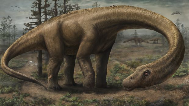 'Dreadnoughtus schrani', considerado o maior animal terrestre do mundo