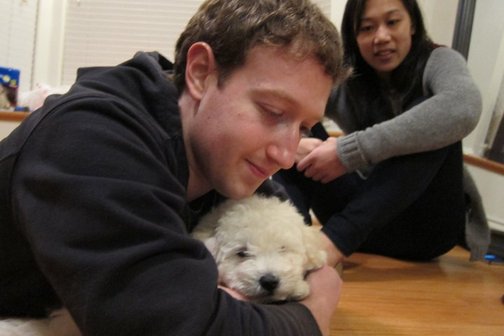 Beast tem apenas dois meses de idade e já possui página no Facebook