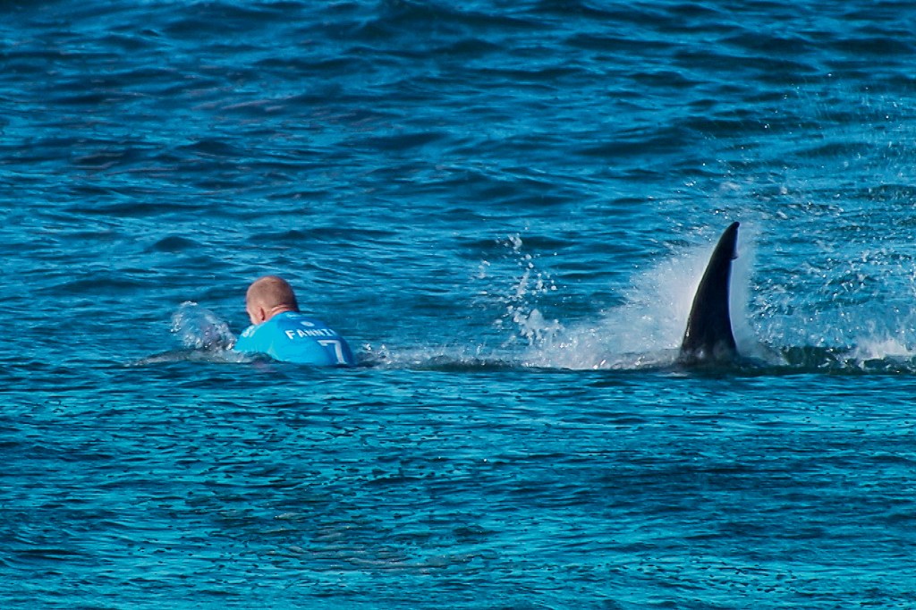 O HOMEM E O PEIXE – O australiano Mick Fanning, tricampeão mundial de surfe, atacado pelo tubarão-branco na África do Sul