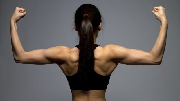 Massa muscular: manter a frequência da atividade física é um dos segredos para aumentar os músculos
