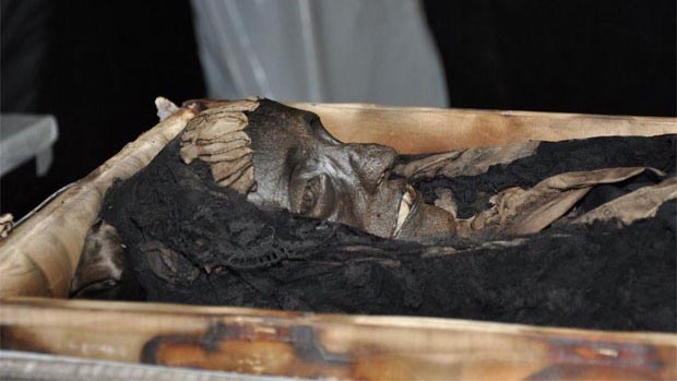 Pesquisa revelou corpo de D. Amélia foi mumificado