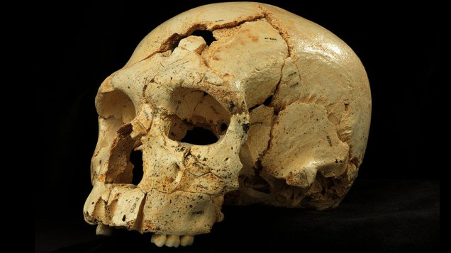Crânio encontrado na caverna Sima de los Huesos