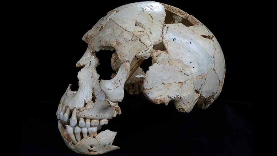 Crânio encontrado na caverna Sima de los Huesos