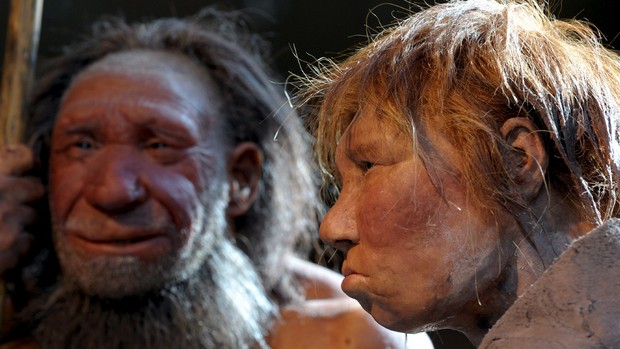 Neandertais: primeiros ancestrais humanos a dividir o ambiente doméstico de acordo com sua finalidade