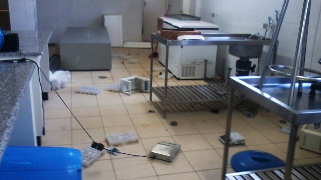 As instalações onde operava o Instituto Royal foram alvo de uma nova invasão na madrugada desta quarta-feira, 13/11 As instalações onde operava o Instituto Royal foram alvo de uma nova invasão na madrugada desta quarta-feira, 13/11
