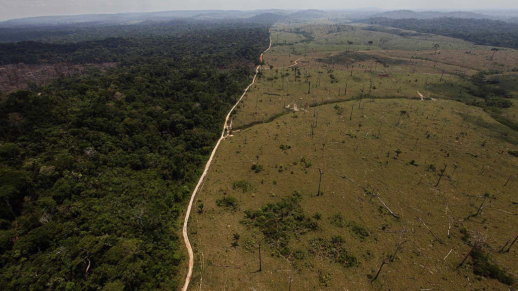 O desmatamento da Amazônia