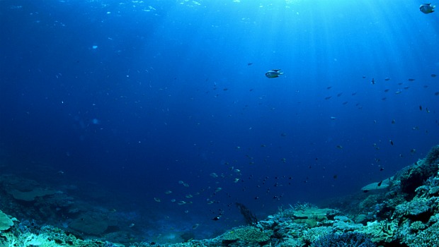 A acidez dos mares há 250 milhões de anos não teria permitido a sobrevivência dos organismos marinhos. O mesmo ocorrerá daqui algumas décadas, afirma o estudo