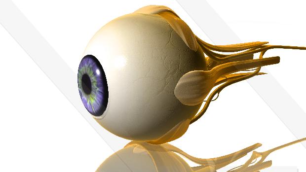 Doenças como a retinite pigmentosa e a degeneração macular relacionada à idade são as principais causas de cegueira irreversível nos países ocidentais